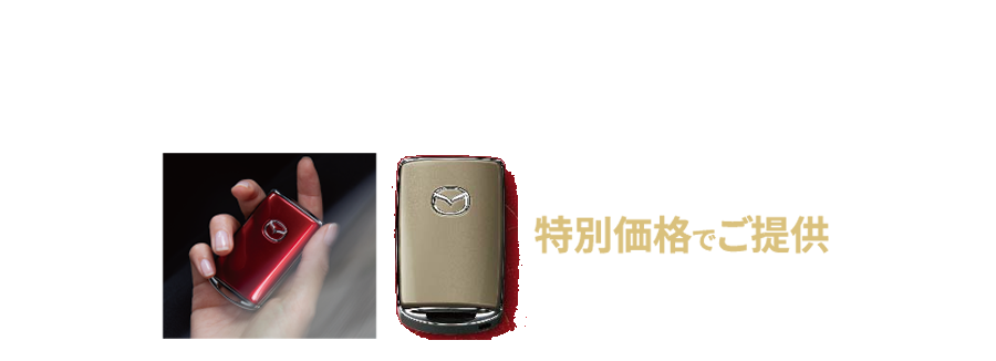 セレクティブキーシェル